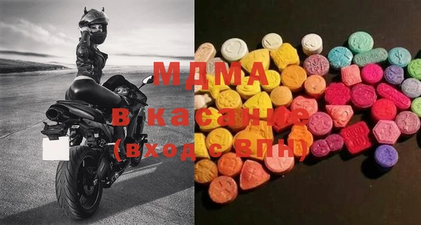 индика Пестово