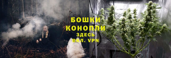 каннабис Покачи