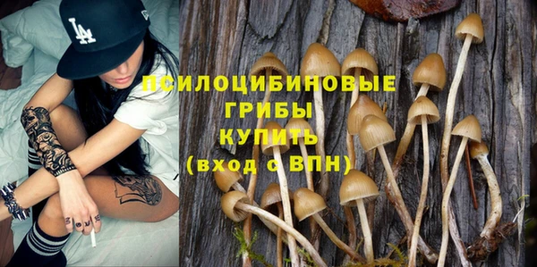 соль курить ск Покровск