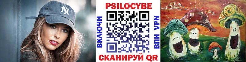 Галлюциногенные грибы Psilocybe  Полесск 